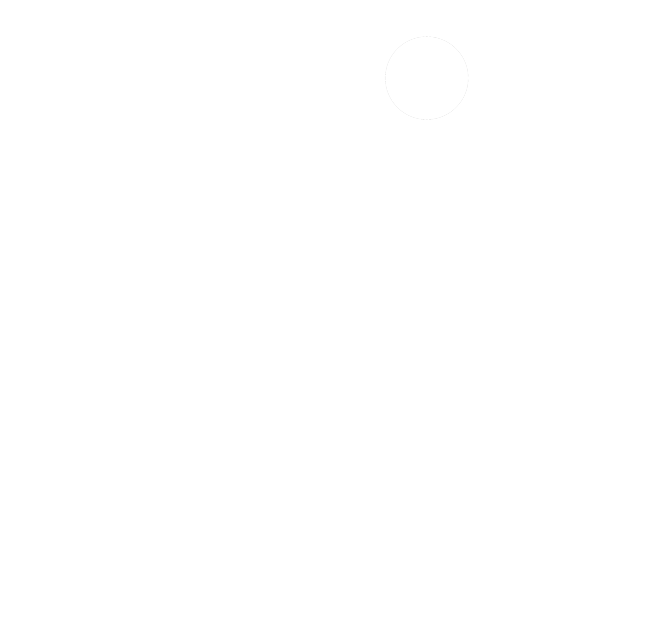 VLC Services